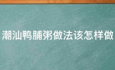 潮汕鸭脯粥做法该怎样做 