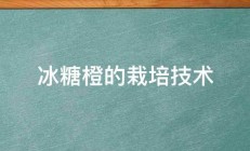 冰糖橙的栽培技术 