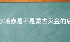 努尔哈赤是不是蒙古灭金的后裔 