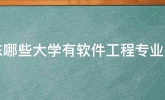 山东哪些大学有软件工程专业排名 