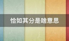 恰如其分是啥意思 