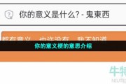 你的意义是什么-你的意义鬼东西梗的意思介绍