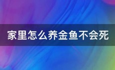 家里怎么养金鱼不会死 