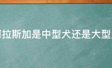 阿拉斯加是中型犬还是大型犬 