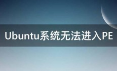 Ubuntu系统无法进入PE 