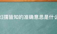 妇孺皆知的准确意思是什么 