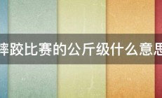 摔跤比赛的公斤级什么意思 