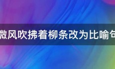 微风吹拂着柳条改为比喻句 