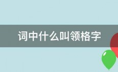 词中什么叫领格字 