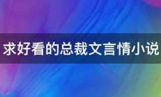 求好看的总裁文言情小说 