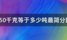 250千克等于多少吨最简分数 