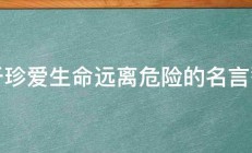 关于珍爱生命远离危险的名言警句 