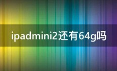 ipadmini2还有64g吗 