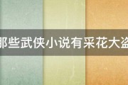 那些武侠小说有采花大盗 