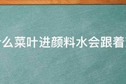 为什么菜叶进颜料水会跟着变色 