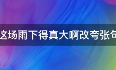 这场雨下得真大啊改夸张句 