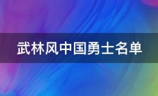 武林风中国勇士名单 