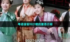 9527粤语谐音是什么梗-粤语谐音9527梗的意思介绍