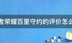 王者荣耀百里守约的评价怎么样 