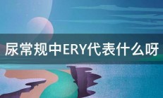 尿常规中ERY代表什么呀 