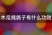 木瓜炖鸽子有什么功效 