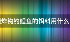 用爆炸钩钓鲤鱼的饵料用什么最好 