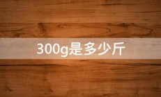 300g是多少斤 