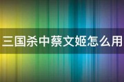 三国杀中蔡文姬怎么用 