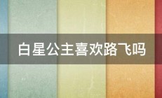 白星公主喜欢路飞吗 