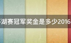 环湖赛冠军奖金是多少2016年 