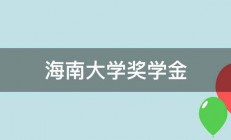 海南大学奖学金 