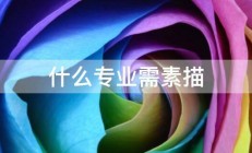 什么专业需素描 