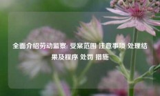 全面介绍劳动监察: 受案范围 注意事项 处理结果及程序 处罚 措施