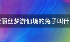 爱丽丝梦游仙境的兔子叫什么 