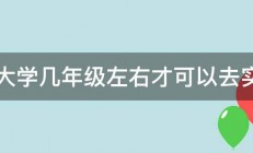 上大学几年级左右才可以去实习 