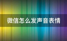 微信怎么发声音表情 