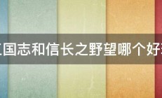 三国志和信长之野望哪个好玩 