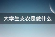 大学生支农是做什么 