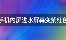 手机内屏进水屏幕变紫红色 