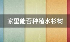 家里能否种殖水杉树 