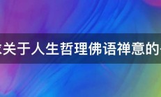 求关于人生哲理佛语禅意的书 