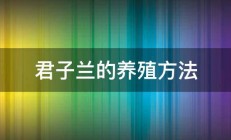 君子兰的养殖方法 