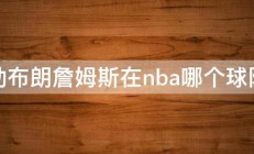 勒布朗詹姆斯在nba哪个球队 