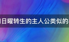 求和日曜转生的主人公类似的小说 