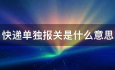 快递单独报关是什么意思 