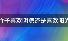 竹子喜欢阴凉还是喜欢阳光 