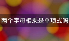 两个字母相乘是单项式吗 