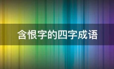 含恨字的四字成语 