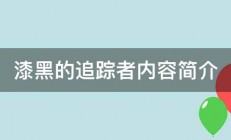 漆黑的追踪者内容简介 