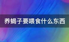 养蝎子要喂食什么东西 